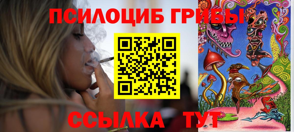 наркотики  Псилоцибиновые грибы мухоморы  Вход с VPN  Урус-Мартан 