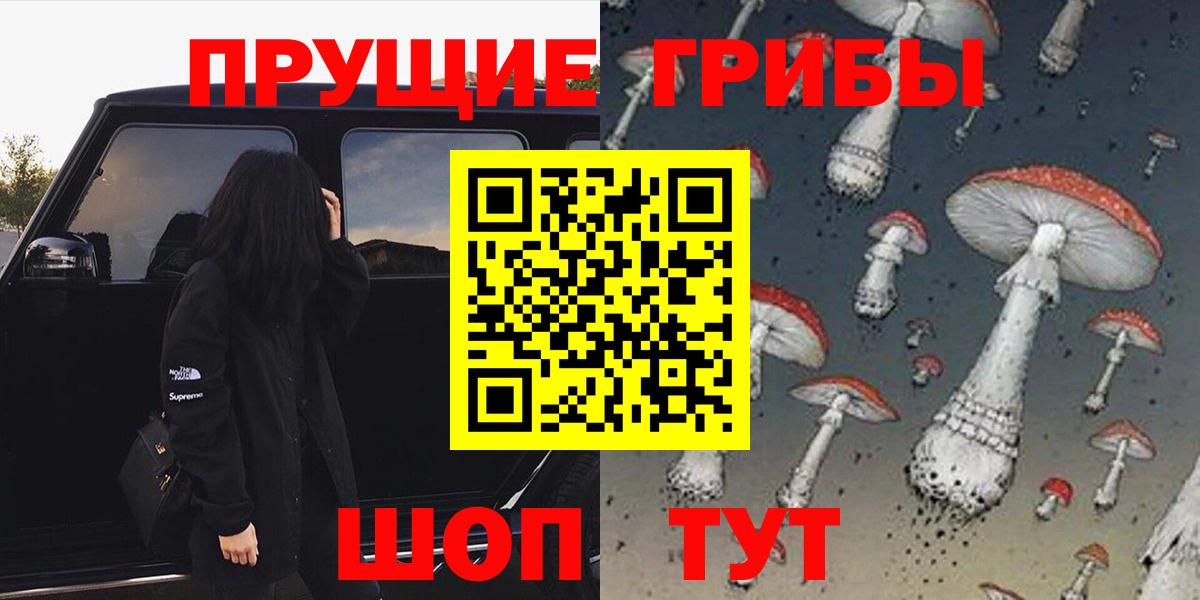 Галлюциногенные грибы Psilocybe Урус-Мартан